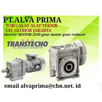 TRANSTECNO GEAR MOTOR PTALVA PRIMA GLODOG TRANSTECNO