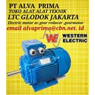 WESTERN ELECTRIC MOTOR PT ALVA PRIMA LTC GLODOG WESTERN 1